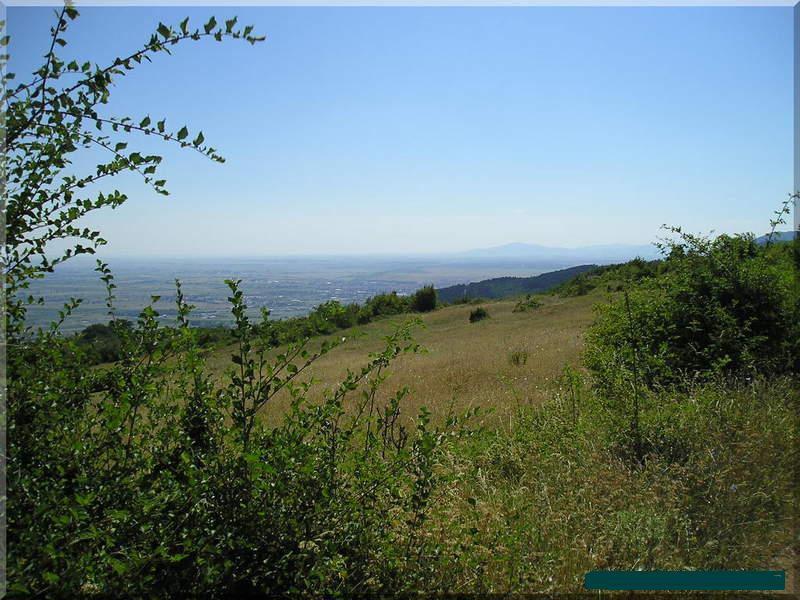 Til salg  Grund region Plovdiv , Ruen , 1808 kvm | 69955970