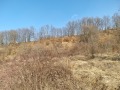 Продава ЗЕМЕДЕЛСКА ЗЕМЯ, гр. Априлци, област Ловеч, снимка 2