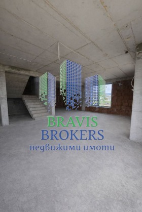 ����� ������� ����,���� �����, �-� �����������