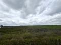Продава ПАРЦЕЛ, гр. Русе, Промишлена зона - Изток, снимка 2
