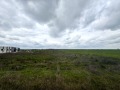 Продава ПАРЦЕЛ, град Русе, Промишлена зона - Изток • 1204900 € • 19012461 — Holmes.bg