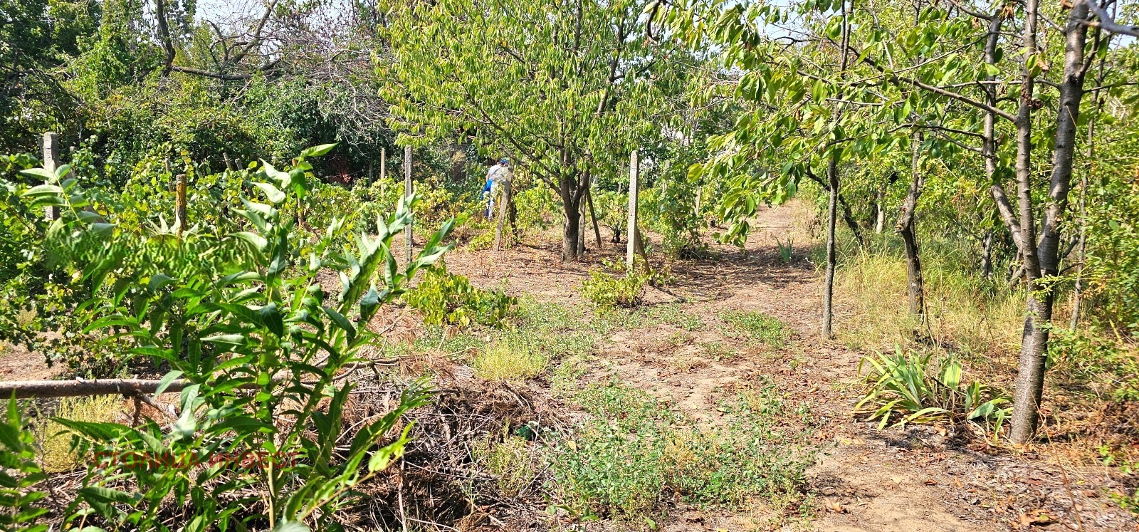 ������� ������ | Imot.bg � ����������� 5