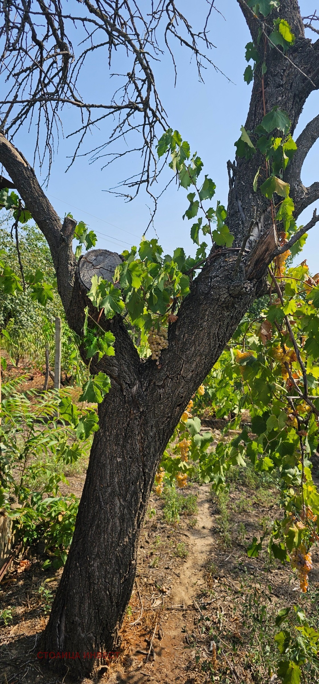 ������� ������ | Imot.bg � ����������� 4