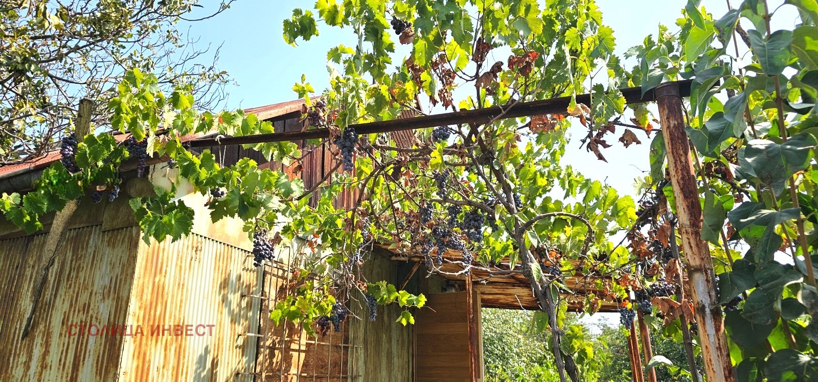 ������� ������ | Imot.bg � ����������� 3