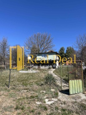 ����� ������� ����,�. ������, ������ ������