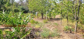 ������� ������ | Imot.bg � ����� ������ 5