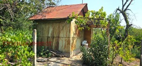 ����� ������� ������,���� ����, �.�. �������