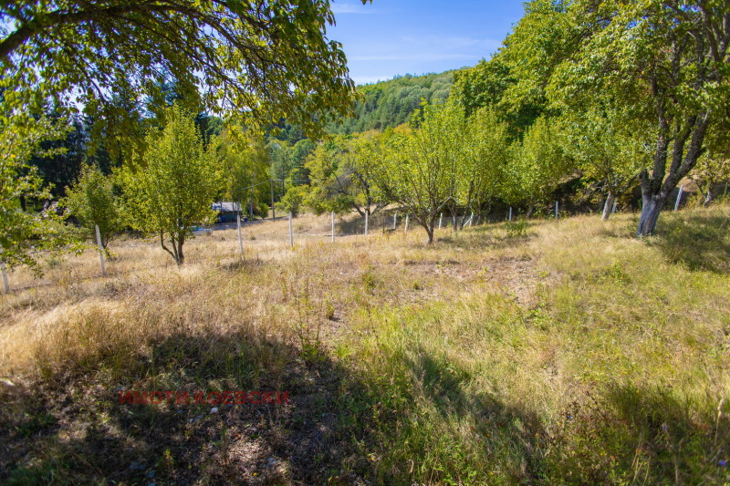 Na prodej  Vila oblast Sofia , Batulija , 35 m2 | 17845856 - obraz [5]