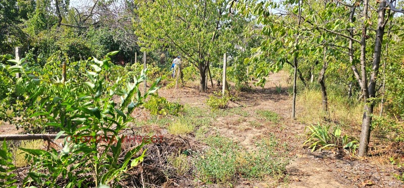 Продава ПАРЦЕЛ, гр. Русе, в.з. Левента, снимка 5 - Парцели - 52874832