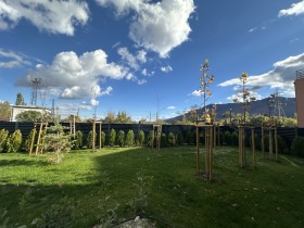 ����� ������� 2-�����,���� �����, ����� ����