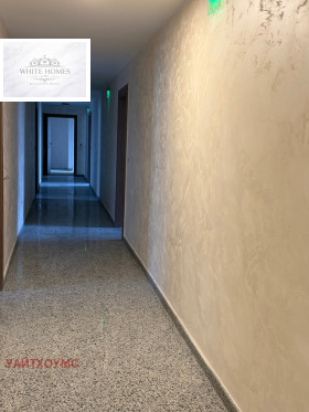 ����� ������� 2-�����,���� �����, �������� ������