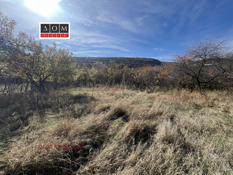 Продава КЪЩА, с. Бърложница, област София област, снимка 14 - Къщи - 52398496