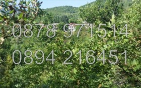 ������� ������ | Imot.bg � ����� ������ 3