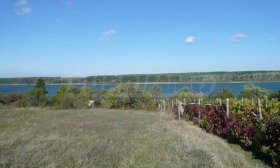 Grund Botevo, region Vidin