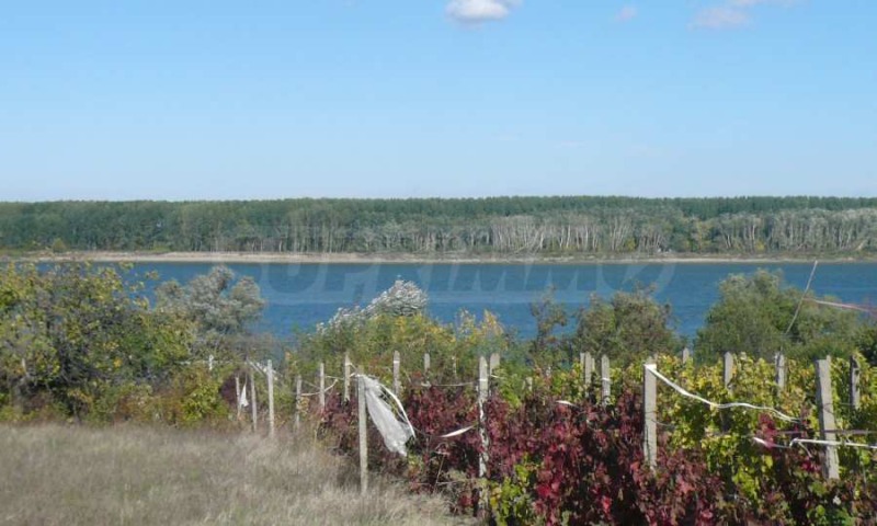Eladó  Cselekmény régió Vidin , Botevo , 1400 négyzetméter | 63835831 - kép [4]