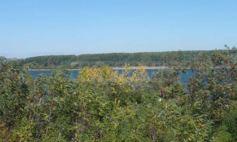 Eladó  Cselekmény régió Vidin , Botevo , 1400 négyzetméter | 63835831 - kép [5]