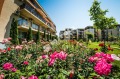 Продава 1-СТАЕН, област Бургас, к.к. Слънчев бряг • 57800 € • 10423600 — Holmes.bg