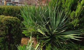 ������� 1-����� | Imot.bg � ����� ������ 11