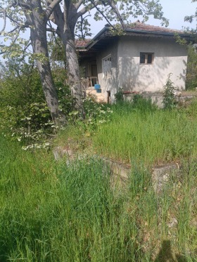 ������� ������ | Imot.bg � ����� ������ 6