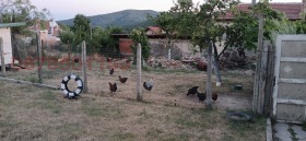 ������� ������ | Imot.bg � ����� ������ 5