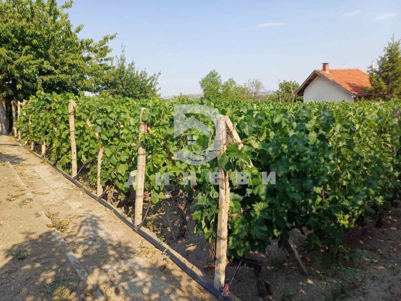 Продава  Парцел град Стара Загора , м-т Беш Бунар , 1105 кв.м | 10925357 - изображение [8]