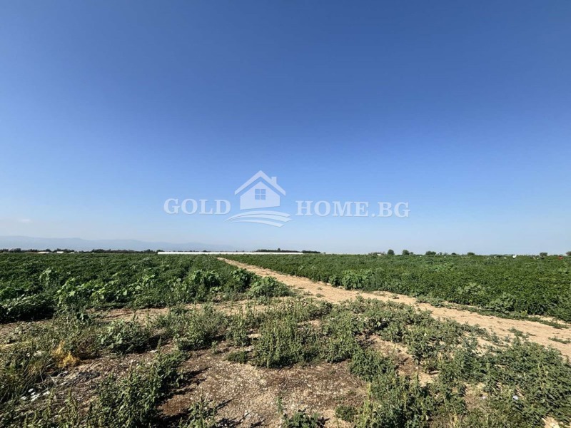 Na prodej  Spiknutí oblast Plovdiv , Trud , 2760 m2 | 33935617