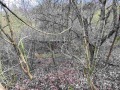 Продава ПАРЦЕЛ, с. Владо Тричков, област София област, снимка 2