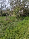 Продава ПАРЦЕЛ, с. Малък Поровец, област Разград, снимка 3