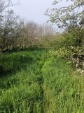 Продава ПАРЦЕЛ, с. Малък Поровец, област Разград, снимка 5