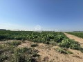 Продава ПАРЦЕЛ, област Пловдив, с. Труд • 110400 € • 49348271 — Holmes.bg