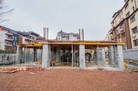 ����� ������� ����������,���� �����, ������