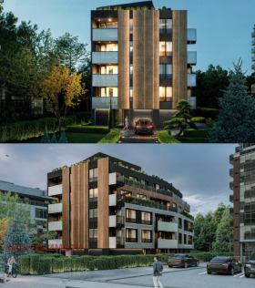 ����� ������� ����������,���� �����, ������