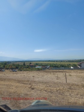 ������ ������� ������