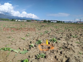 ������� ���������� ���� | Imot.bg � ����� ������ 2