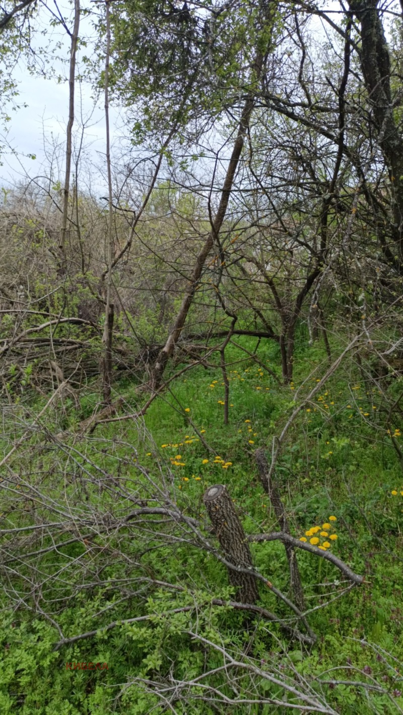 For Sale  Plot region Pernik , Potsarnentsi , 780 sq.m | 33841182 - image [4]