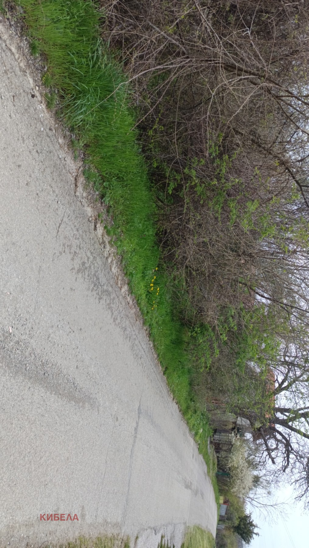 Продава ПАРЦЕЛ, с. Поцърненци, област Перник