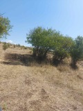 Продава ПАРЦЕЛ, гр. София, гр. Нови Искър, снимка 2