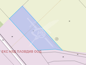 ������ ������� ������