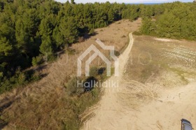 ������� ������ | Imot.bg � ����� ������ 12