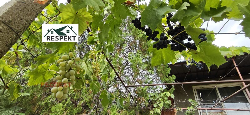 Продава  Къща област Стара Загора , с. Дълбоки , 63 кв.м | 30037703 - изображение [7]