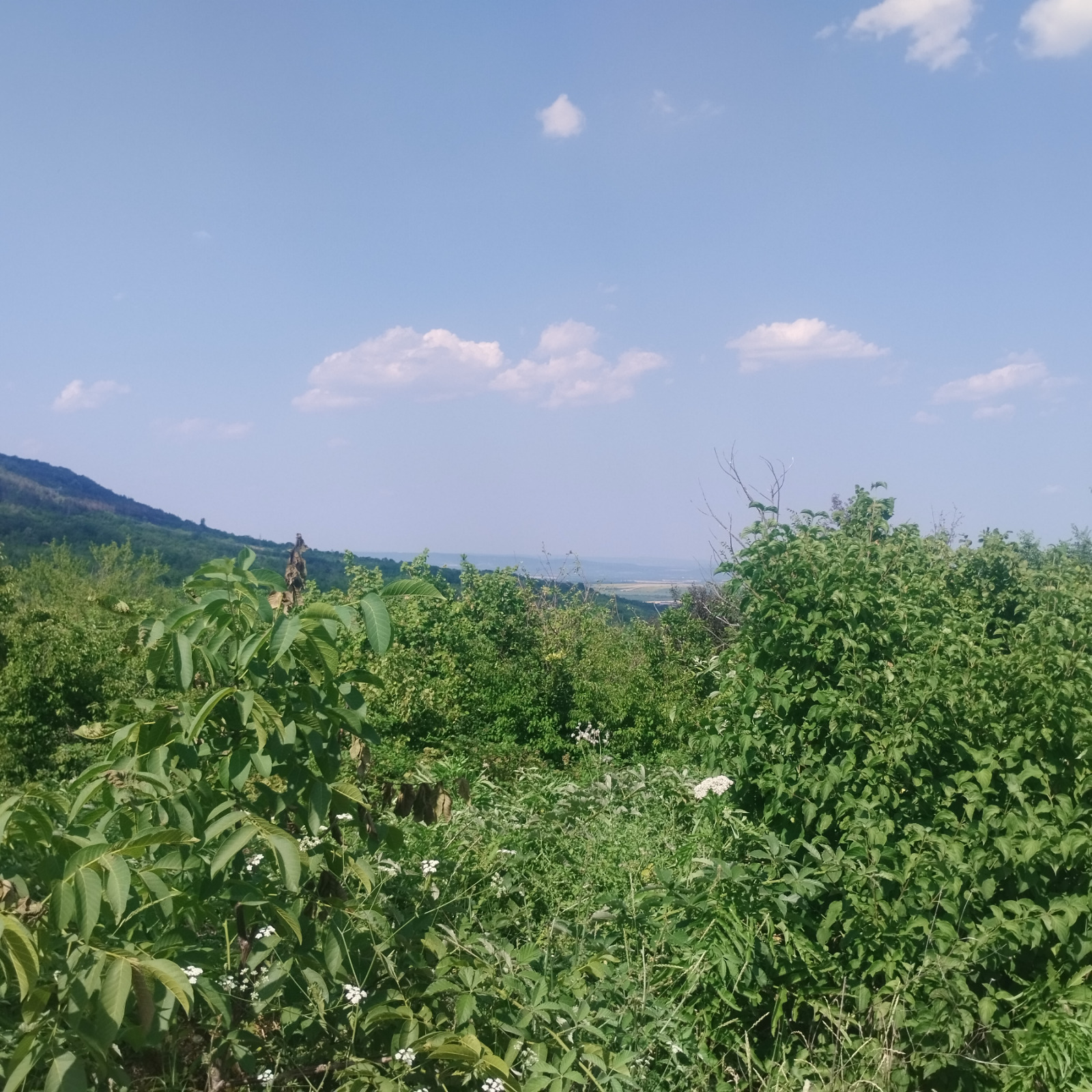 Продава ПАРЦЕЛ, с. Шереметя, област Велико Търново