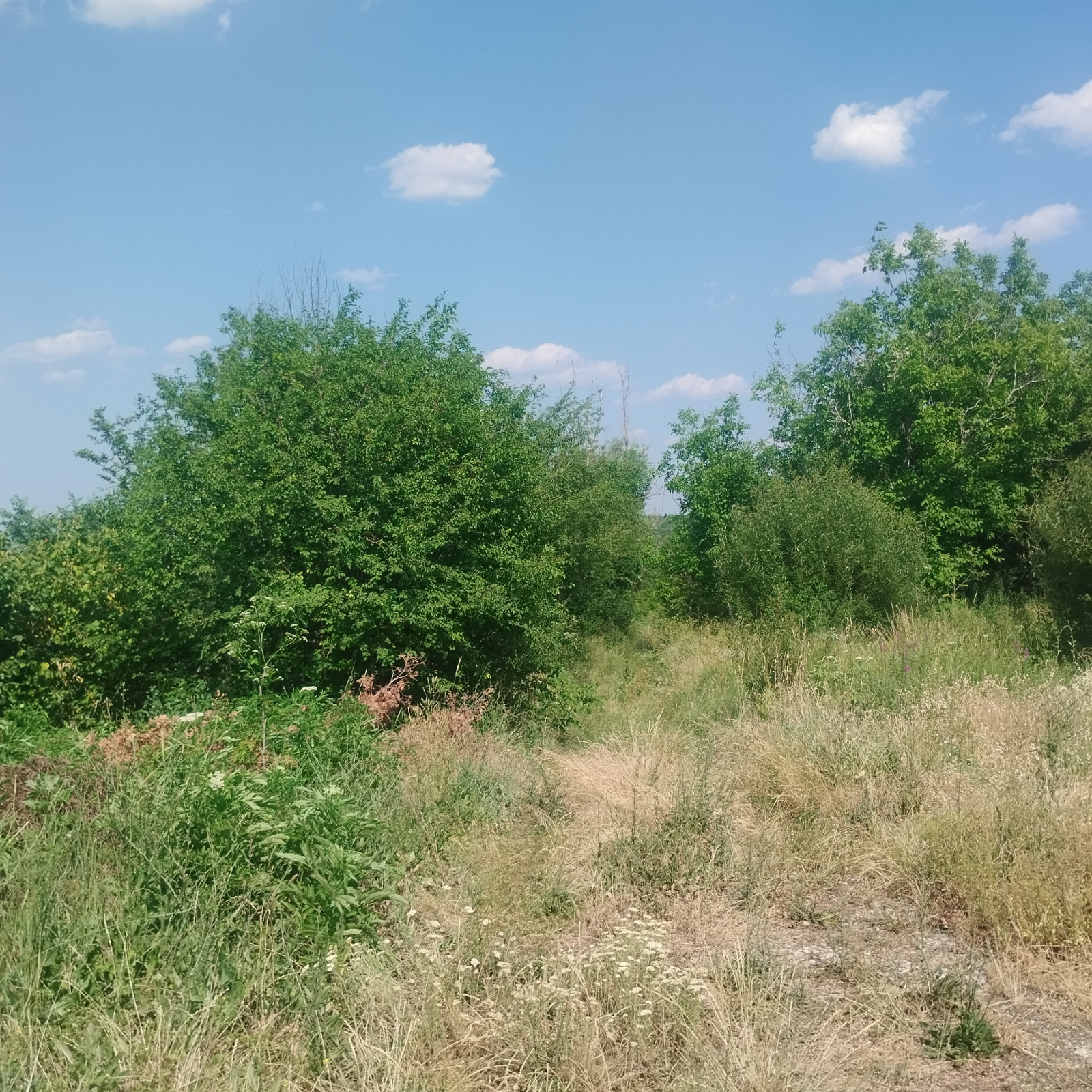 Продава ПАРЦЕЛ, с. Шереметя, област Велико Търново, снимка 2 - Парцели - 53707131