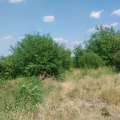 Продава ПАРЦЕЛ, област Велико Търново, с. Шереметя • 20000 лв. • 29818145 — Holmes.bg