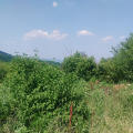 Продава ПАРЦЕЛ, област Велико Търново, с. Шереметя • 20000 лв. • 29818145 — Holmes.bg