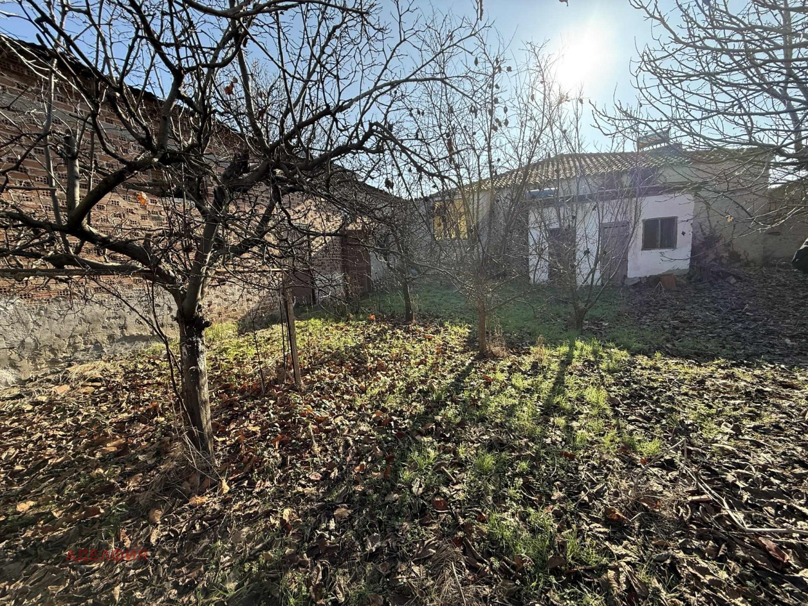 ������� ���� | Imot.bg � ����������� 1