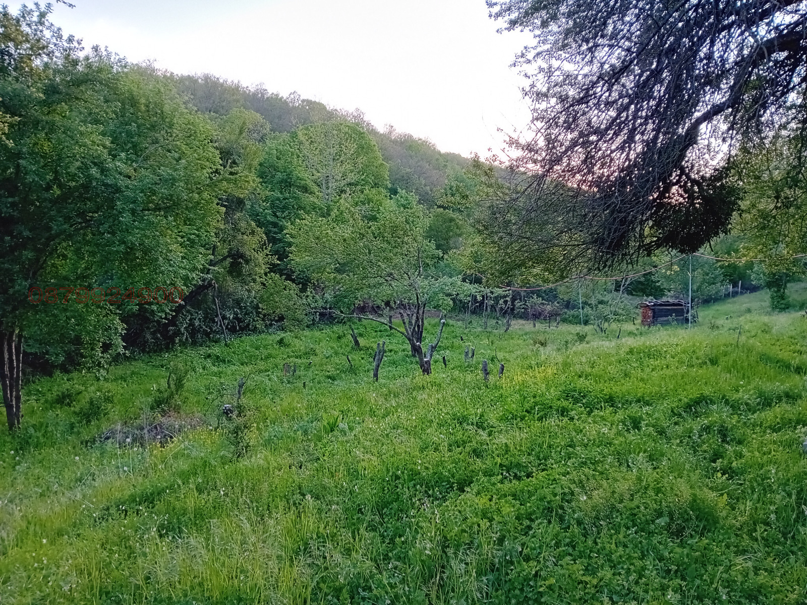 ������� ������ | Imot.bg � ����������� 4