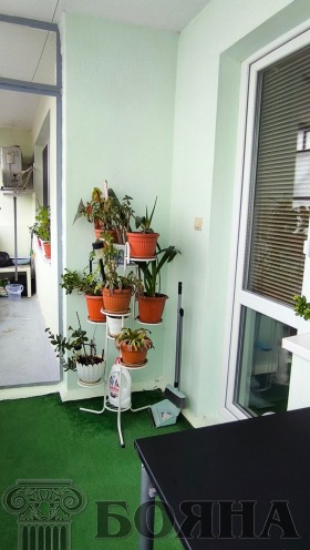 1 bedroom Charodeyka - Yug, Ruse 13