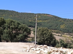 ������� ���������� ���� | Imot.bg � ����� ������ 7
