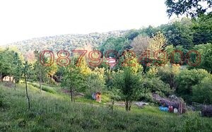 Продава ПАРЦЕЛ, с. Младежко, област Бургас, снимка 9 - Парцели - 53832470