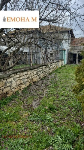 ����� ������� ����,�. ������, ������ �����